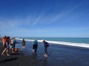 Looking for dolphins at Hapuku Beach